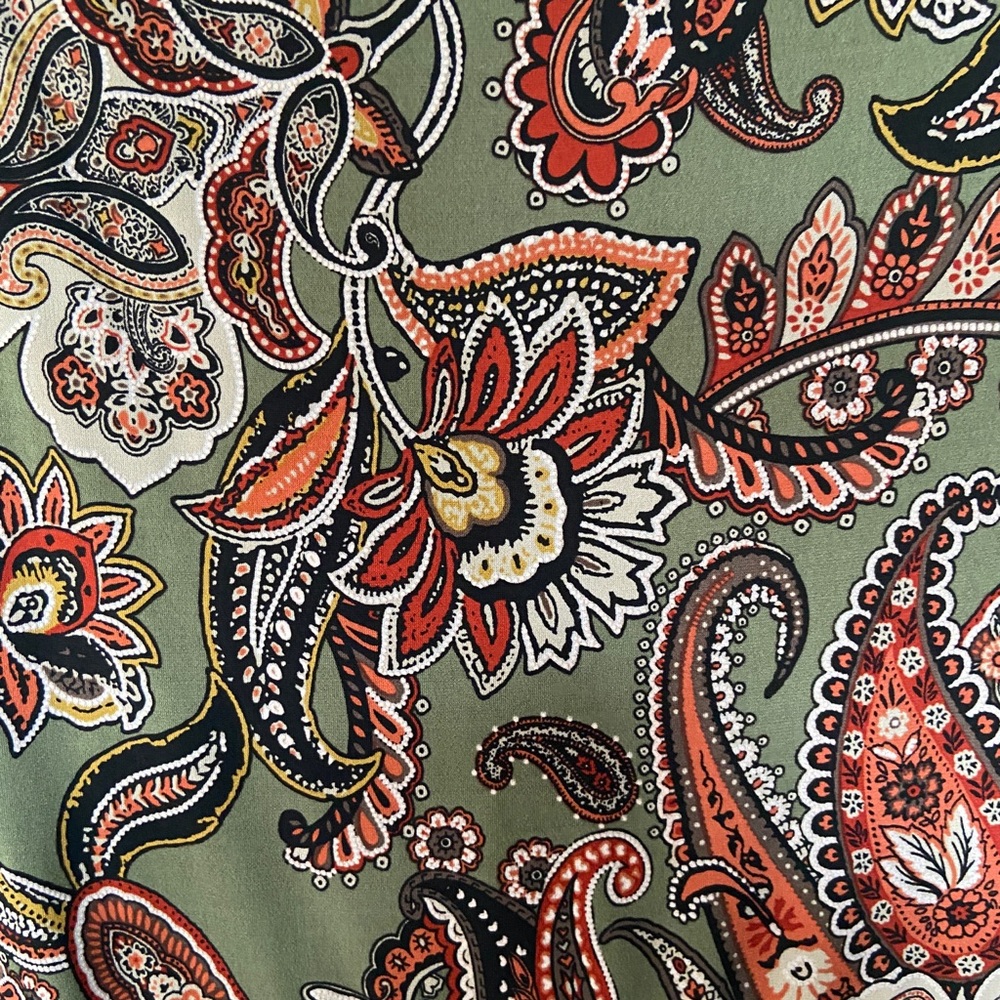 Sandra Darren Woman’s Green Paisley Mid length sleeveless dress, Plus Size 2X - Picture 5 of 13